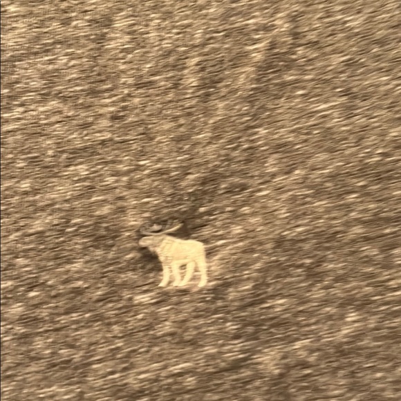 Abercrombie and Fitch men's vneck t-shirt - Picture 2 of 4